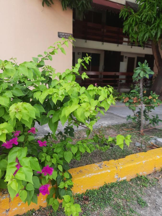 The Mango Lodge คิงส์ตัน ภายนอก รูปภาพ
